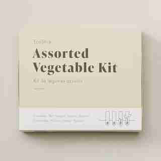 ECOSTICK ASSORTED VEGETABLE GROW KIT