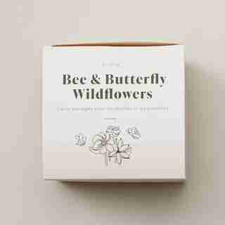 ECOPOD WILDFLOWERS GROW KIT