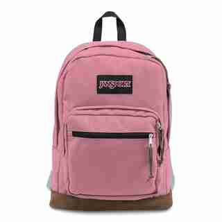 SAC À DOS JANSPORT RIGHT PACK MOUSSE DE MÛRES