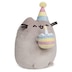 pusheen birthday plush