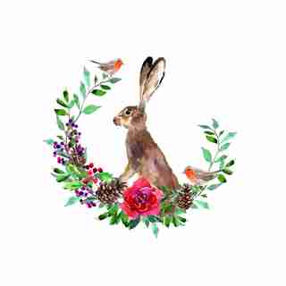 BOXED CARDS (8) HARE