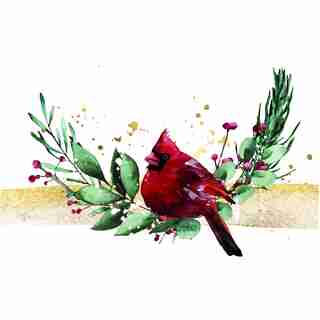 BOXED CARDS (8) CARDINAL