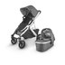 indigo uppababy