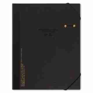 DOCUMENT PORTFOLIO STANDARD ISSUE