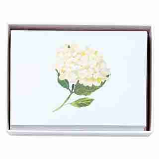 Notecard Set Summer Floral