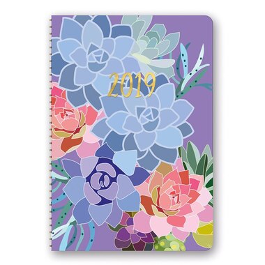 2019 17 month on time weekly planner succulent paradise by studio