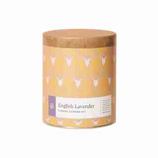 Modern Sprout Waxed Planter English Lavender Indoor Garden Kit