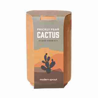 MODERN SPROUT TERRACOTTA SELF-WATERING GROW KIT - PRICKLY PEAR CACTUS