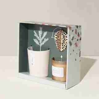 Modern Sprout Gather Live Well Grow Kit Gift Set