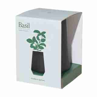 MODERN SPROUT TAPERED TUMBLER SELF-WATERING GROW KIT - BASIL