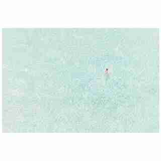 Reproduction par Gray Malin – Girl In Pink, 11,5 po x 17 po