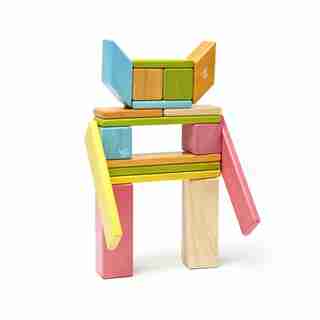 Tegu 24-piece Magnetic Wooden Blocks - Tints