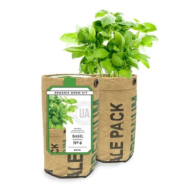 URBAN AGRICULTURE BASIL GROW KIT