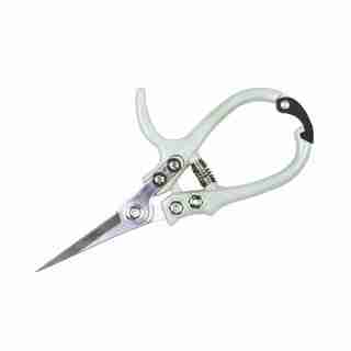 MODERN SPROUT GARDEN PRUNING SHEARS
