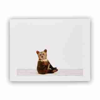 Baby Bear Cub Photographic Art Print – 8.5 x 11