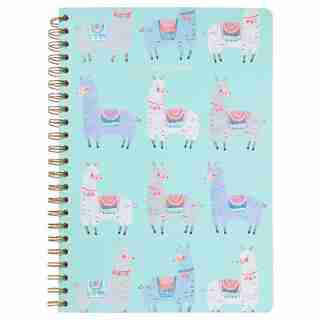 A4 SPIRAL NOTEBOOK NO PROBLLAMA MINT