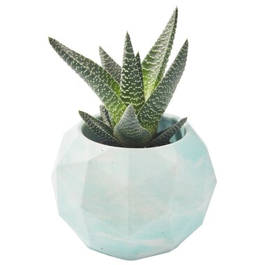 Geo Planter - Mint Marble