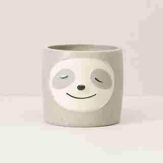 SLOTH POT