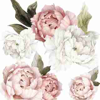 HALF BLUSHING PEONIES WALL DECAL