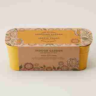 LITTLE GARDENERS SUNSHINE GARDEN GROW KIT