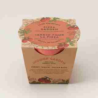 LITTLE GARDENERS PIZZA GARDEN GROW KIT