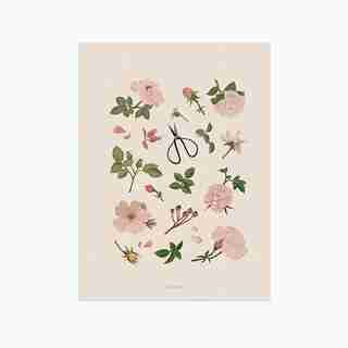 MICUSH ROSES ART PRINT - 11" X 14"