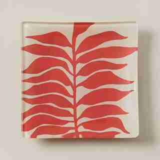 OUI SQUARE GLASS TRAY GERBER FRONDS SMALL