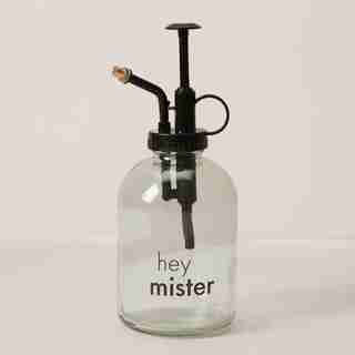 VAPORISATEUR DE PLANTES – HEY MISTER