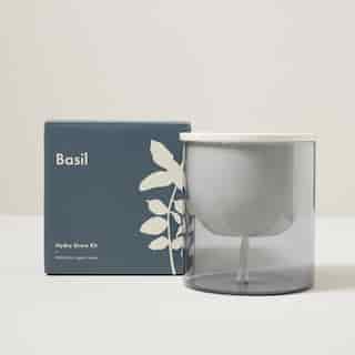 OUI GLASS HYDRO GROW KIT BASIL LARGE