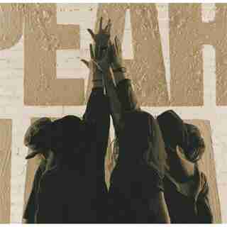 PEARL JAM TEN VINYL