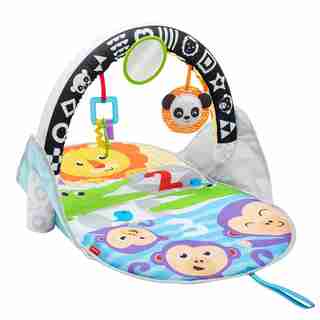 Fisher-Price® 2-in-1 Flip and Fun Activity Gym