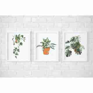 Tropical Potted Plants Paint by Number