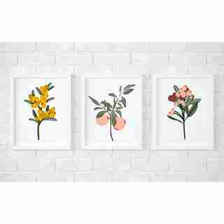 Autumn Botany Paint-By-Number Kit