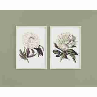Peony Blossoms Paint By Number Kit 2-Pack