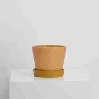 Capra Designs Louise Plant Pot Desert Golden
