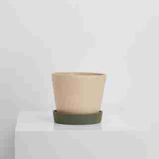 Capra Designs Louise Plant Pot Agave Salt