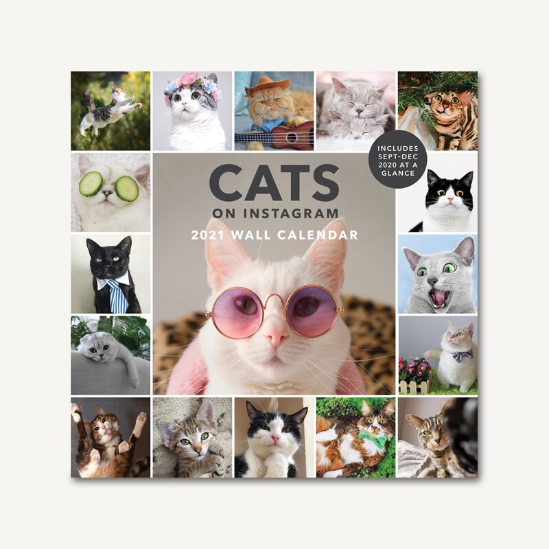 grumpy cat calendar 2021