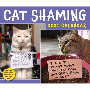 Cat Shaming 2021 Day To Day Calendar By Calendars Gifts Www Chapters Indigo Ca cat shaming calendar 2021