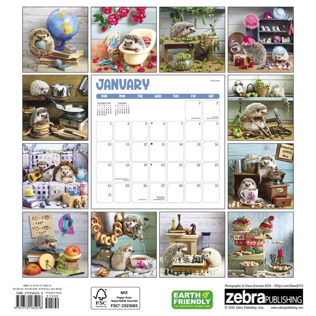 2021 12 Month Wall Calendar Hedgehog By Zebra Gifts Www Chapters Indigo Ca hedgehog wall calendar 2021