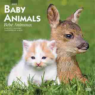 2021 Les Animaux Anonymes 2021 Les Animaux Anonymes