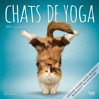 2021 Calendrier Mural Chat De Yoga En Francais De Wyman Articles Cadeau Www Chapters Indigo Ca calendrier persan 2021