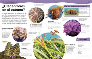 Sample content 2_&iquest;Sab&iacute;as qu&eacute;? Oc&eacute;anos (Did You Know? Ocean)