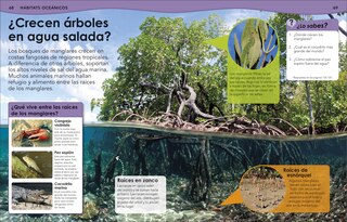 Sample content 3_&iquest;Sab&iacute;as qu&eacute;? Oc&eacute;anos (Did You Know? Ocean)