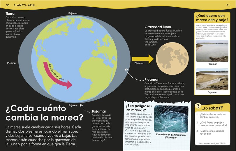 Sample content 4_&iquest;Sab&iacute;as qu&eacute;? Oc&eacute;anos (Did You Know? Ocean)