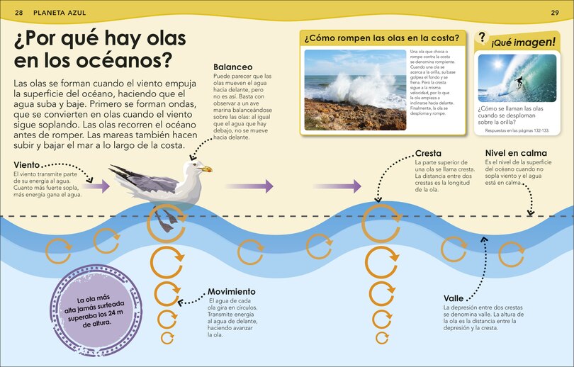 Sample content 5_&iquest;Sab&iacute;as qu&eacute;? Oc&eacute;anos (Did You Know? Ocean)