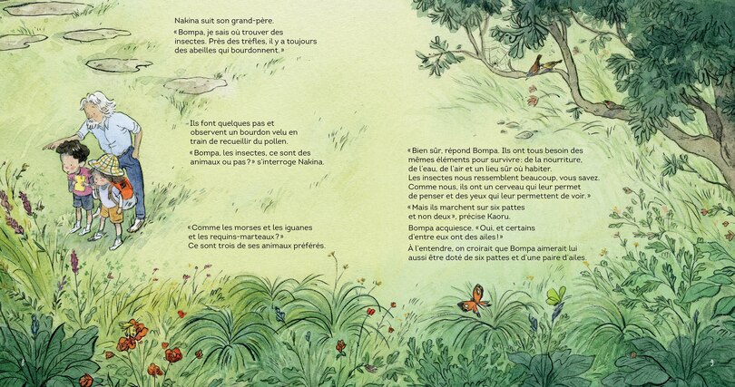 Aper&ccedil;u du contenu 4_&Agrave; la d&eacute;couverte des insectes avec Bompa