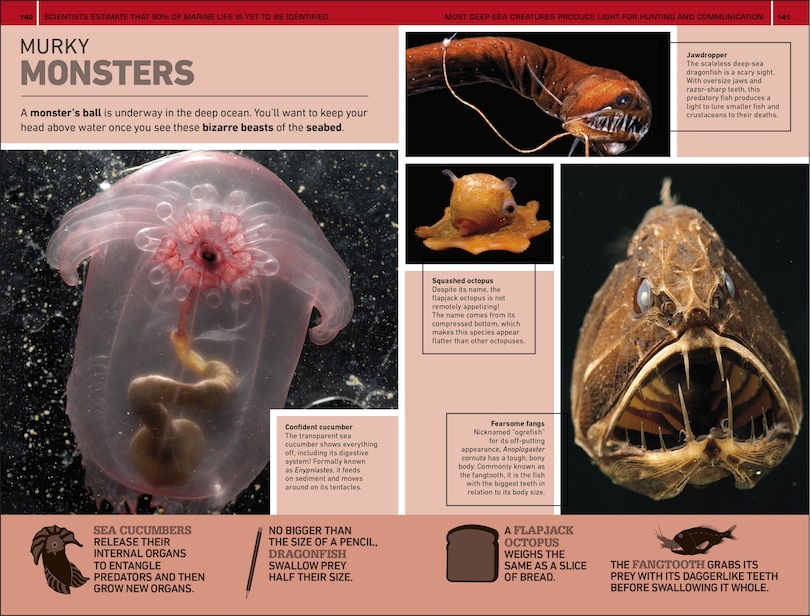 Sample content_1,000 Amazing Weird Facts