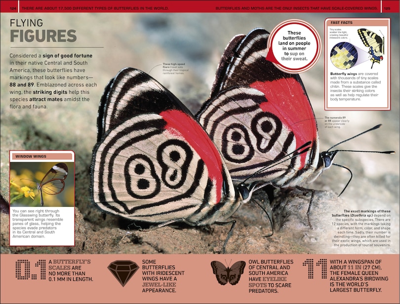 Sample content 2_1,000 Amazing Weird Facts