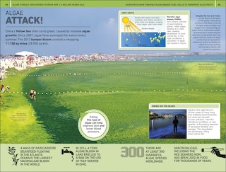 Sample content 3_1,000 Amazing Weird Facts