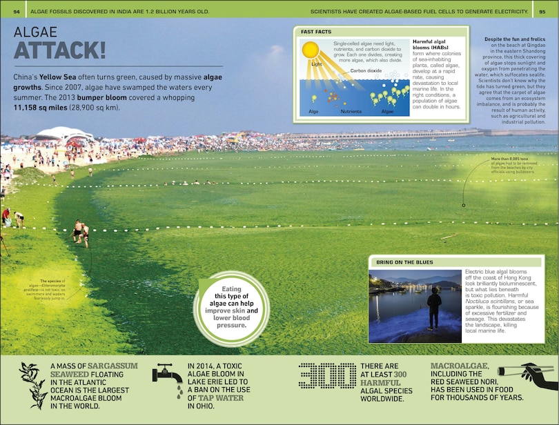 Sample content 3_1,000 Amazing Weird Facts